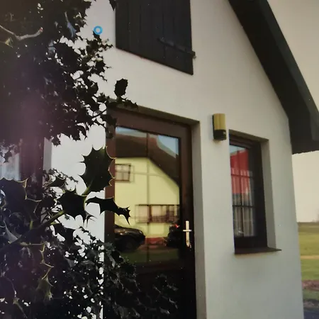 Ferienhaus Deich & Wiesen *