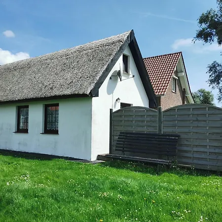 Ferienhaus Ferienhaus Deich & Wiesen