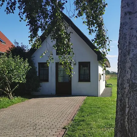 Ferienhaus Ferienhaus Deich & Wiesen Lobbe